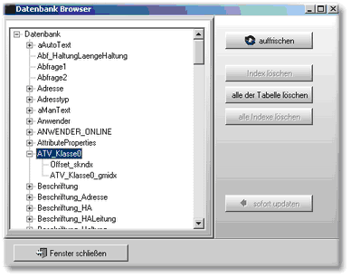 Datenbankbrowser