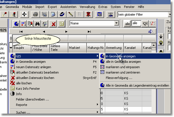GeomadiaImModul_Grid