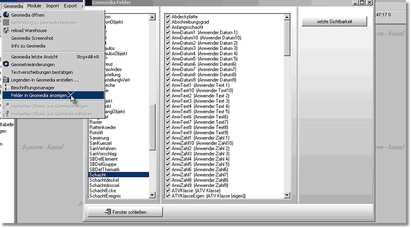 GeomediaFelderAnzeigen