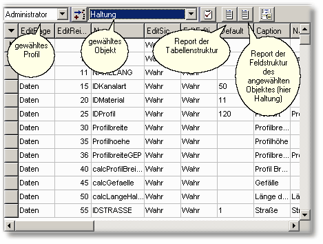 ReportFelddefinition